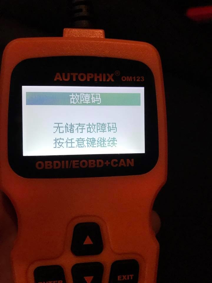 歷史紀錄中，簡易讀取器顯示沒有故障碼。
